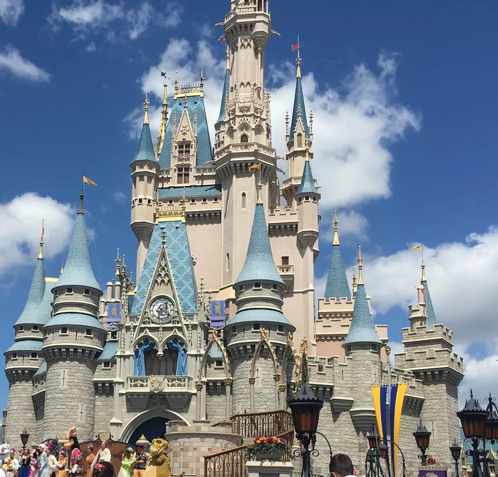 Why You're Not Going To Disney World This Summer