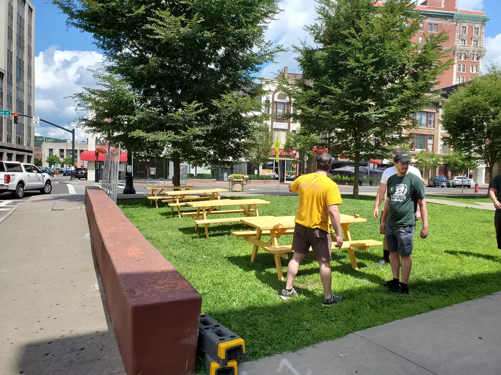 Picnic Tables, Fencing Now Occupy Court Street Green Space