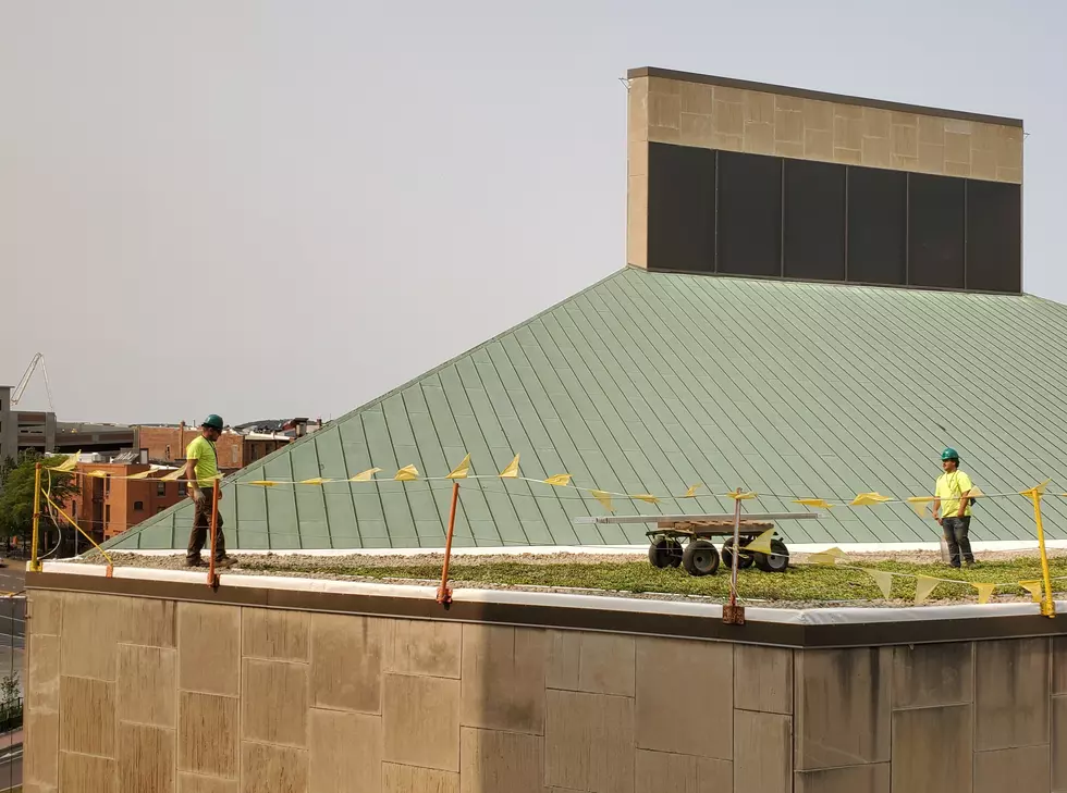 $2.1 Million Binghamton City Hall &#8220;Green Roof&#8221; Nears Completion