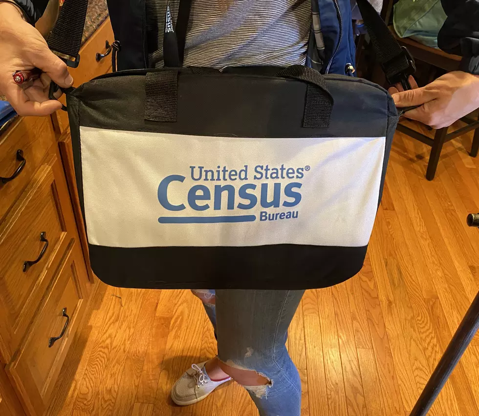 10 Things You May Need to Know About the US 2020 Census