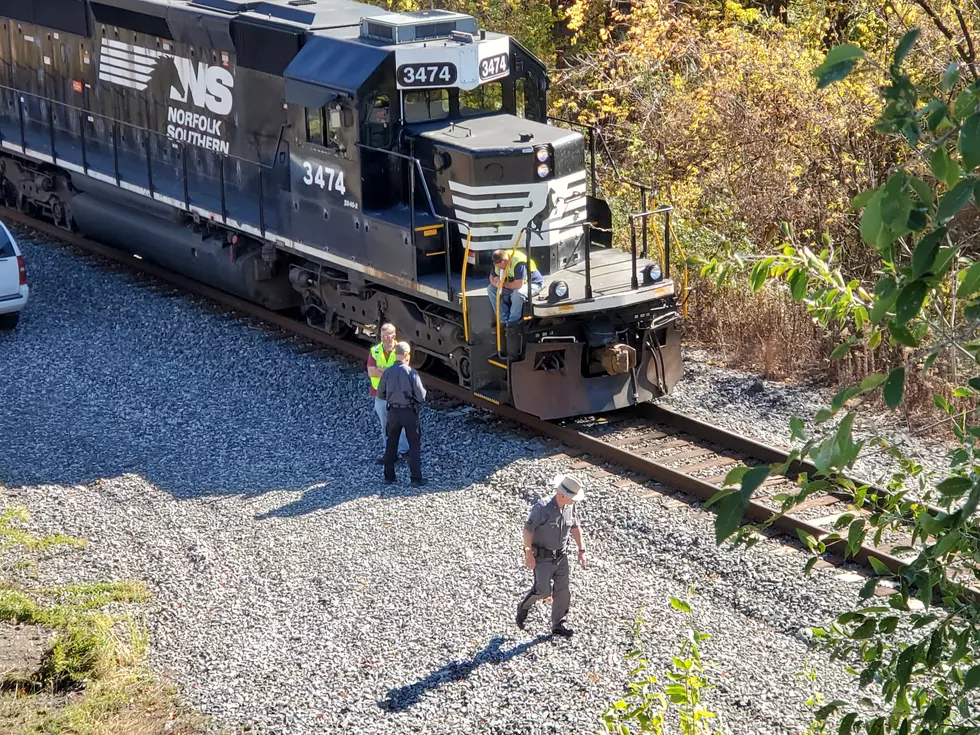 Man Dies After Being Struck By Train in Endwell
