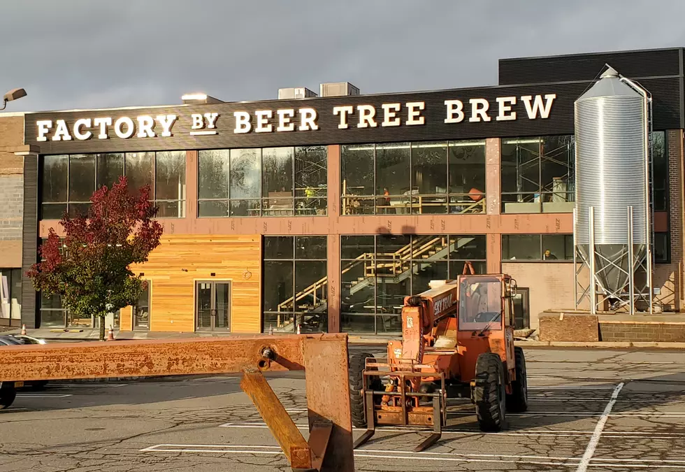 Beer Tree Brew Co Preparing to Open Oakdale Mall Restaurant