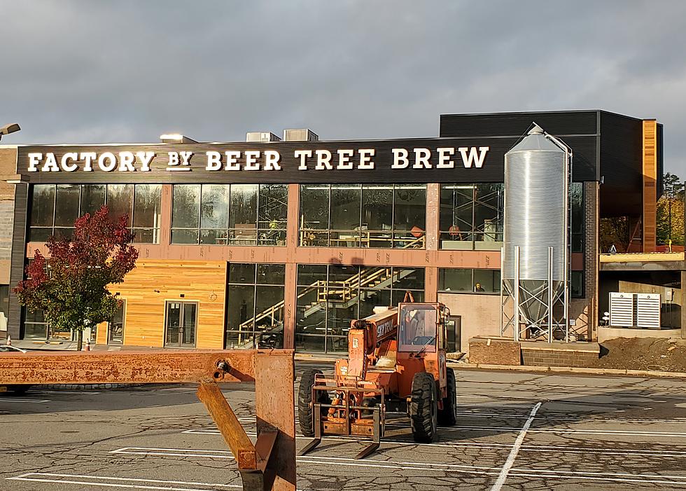 "Beer Tree" Restaurant Coming Soon