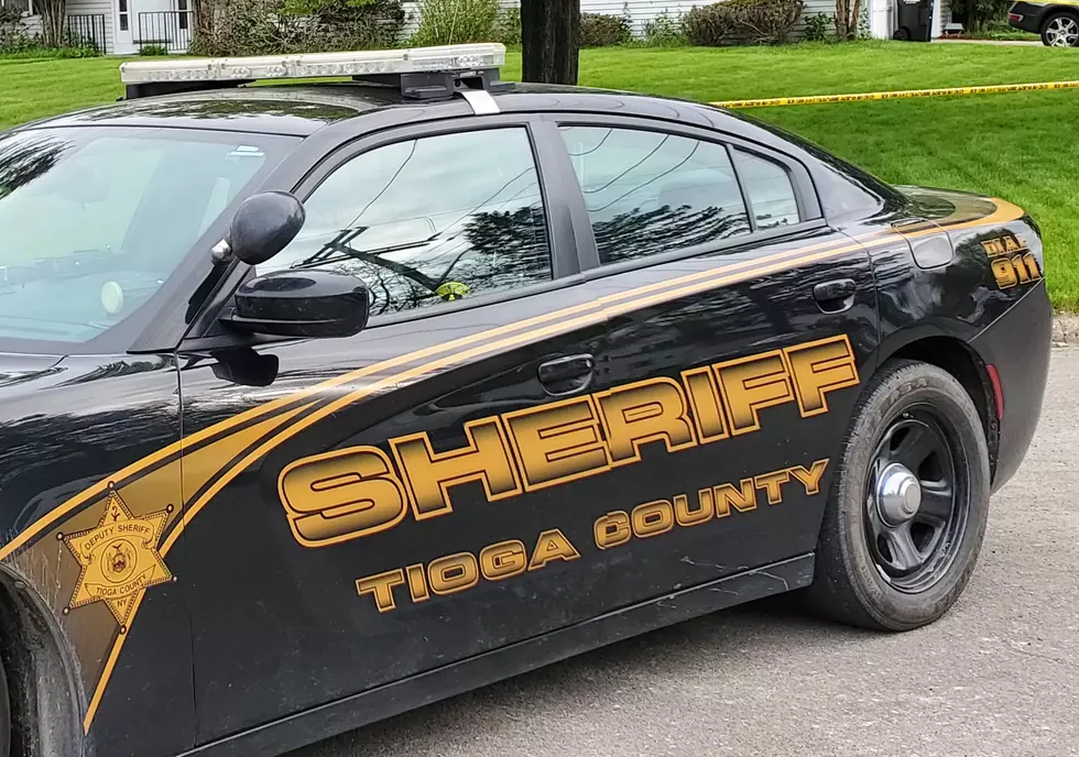 Tioga County Government Moves to Develop Police Reform Plan