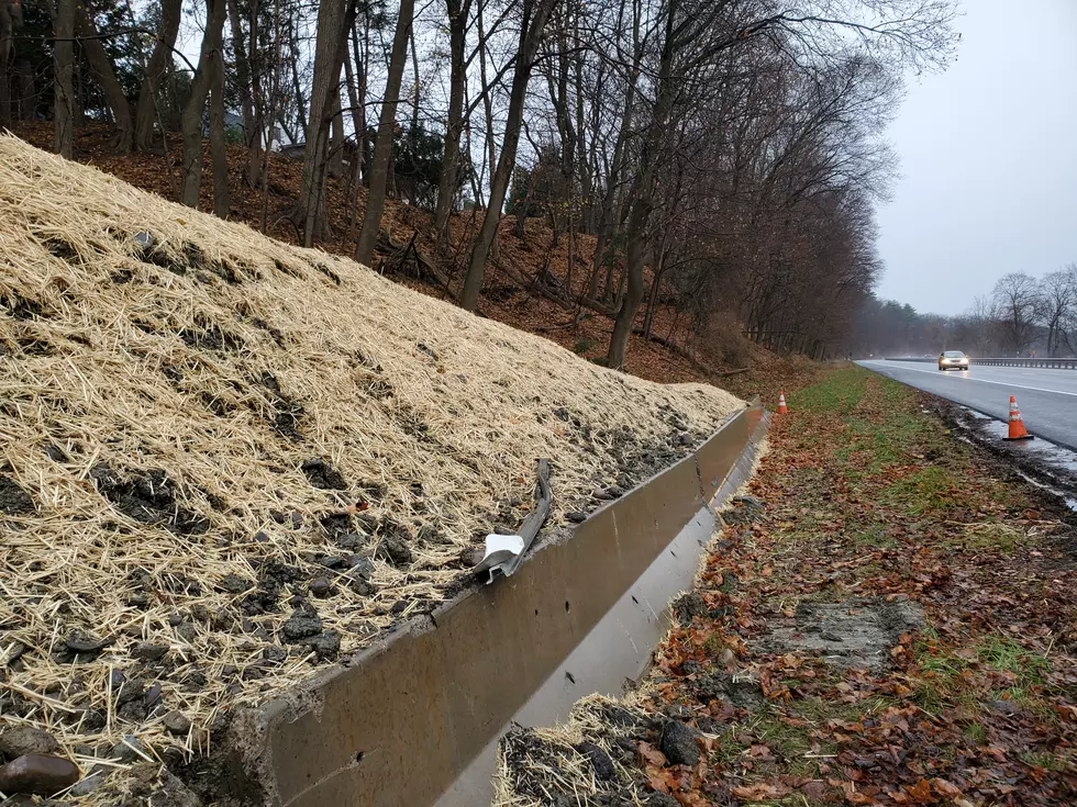 Tree Clearing to Start for Route 434 Greenway Project