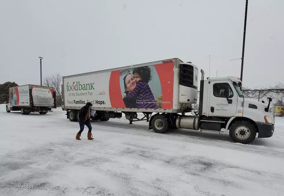 Food Bank Of The Southern Tier Selfless Elf Returns