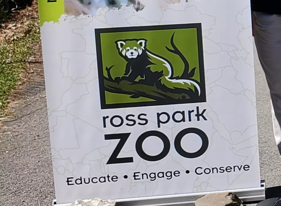 Enjoy Holiday Fun at Binghamton New York's Ross Park Zoo