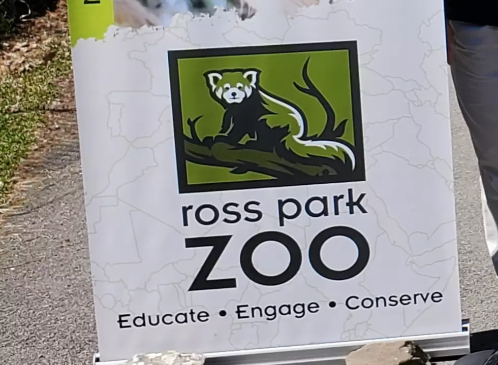 Long-Term Lease Extension For Binghamton's Ross Park Zoo