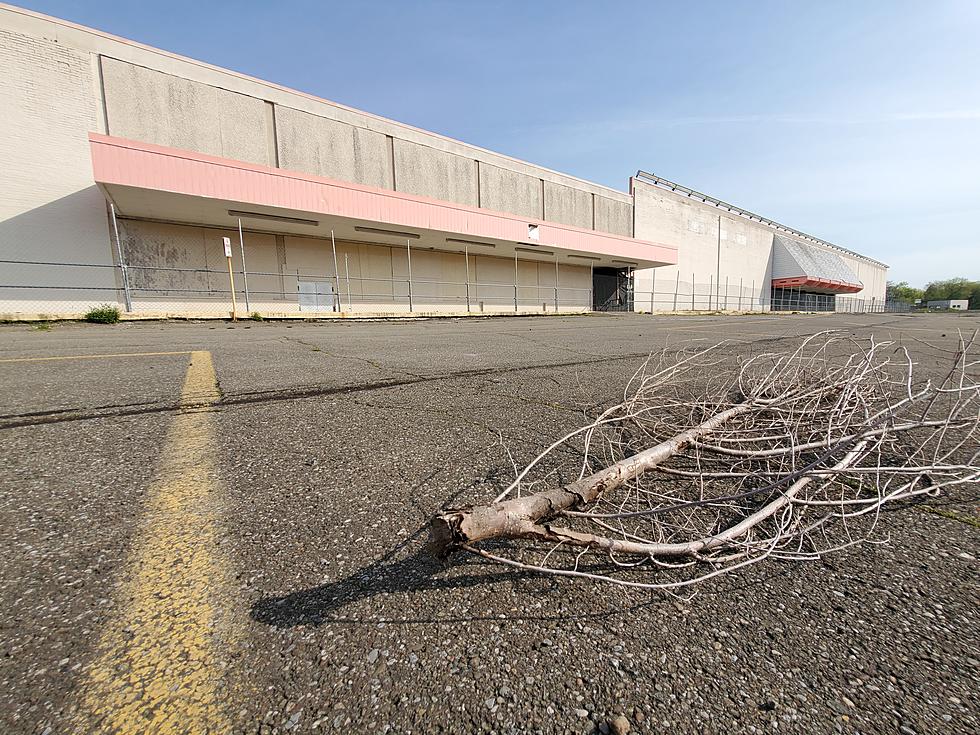 Old Endicott Kmart Building&#8217;s Future May Include Shrimp Farming