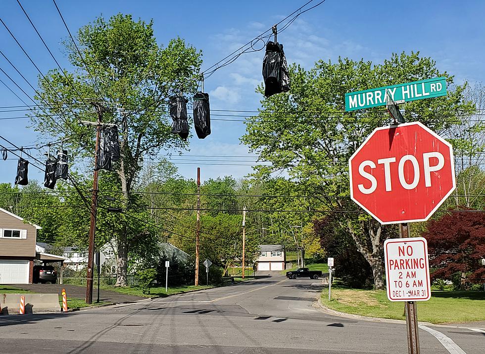 New Traffic Signals Installed in Vestal Neighborhood
