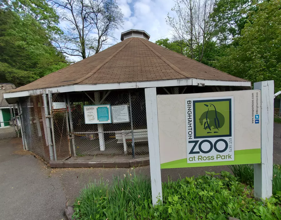 Carousel at Binghamton&#8217;s Ross Park May Operate This Year