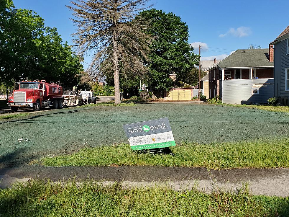 Endicott Blight Fight: From Demolition to Hydroseeding