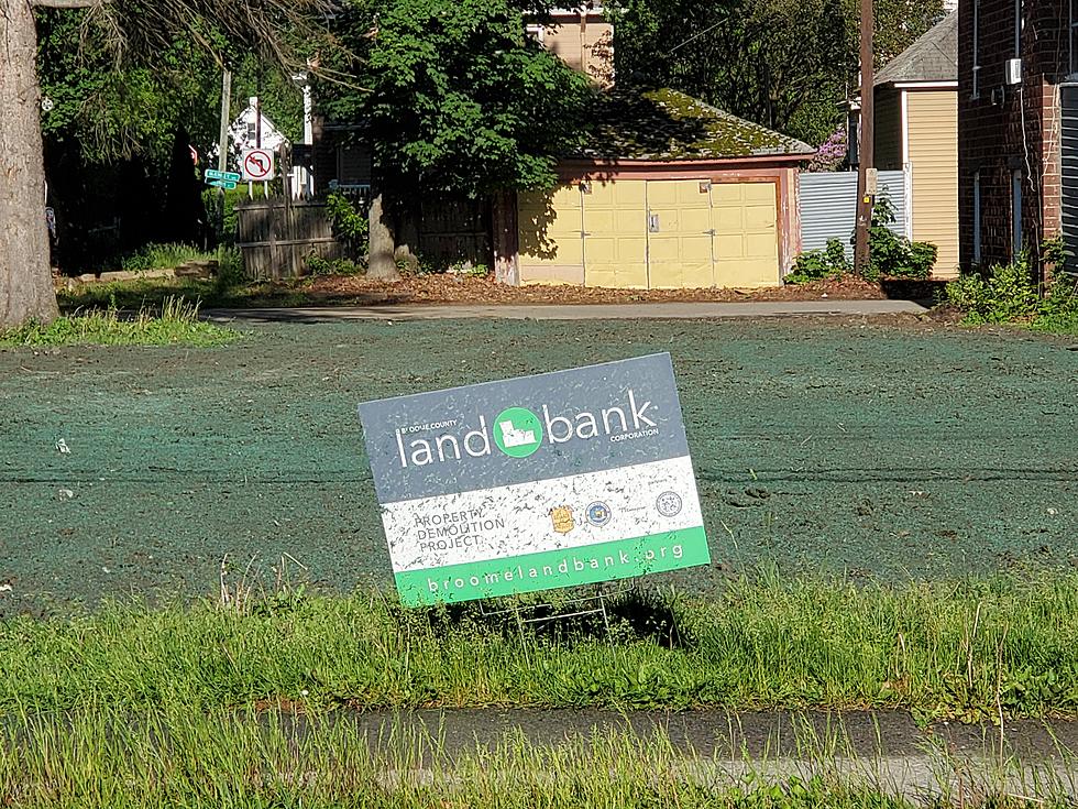 Endicott Blight Fight: From Demolition to Hydroseeding