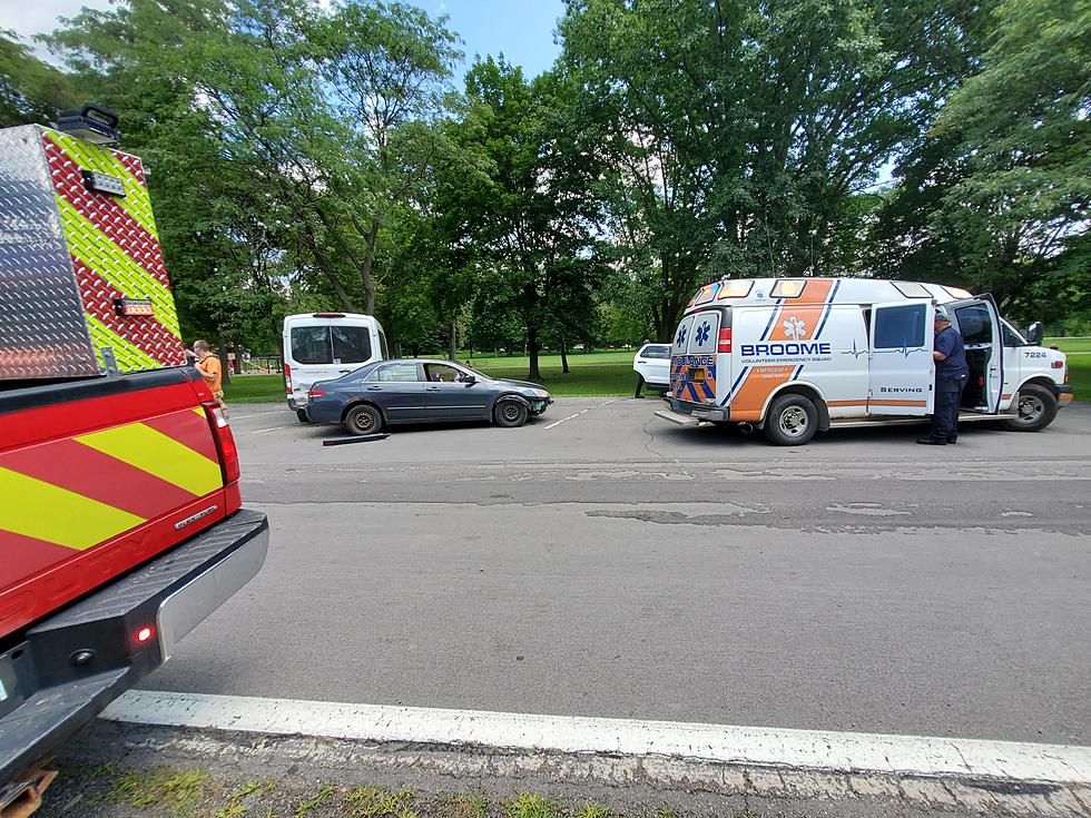 Car Travels Otsiningo Park Walking Path, Strikes Tree and Van