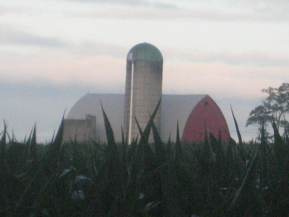 NY Farm Worker Overtime Recommendation