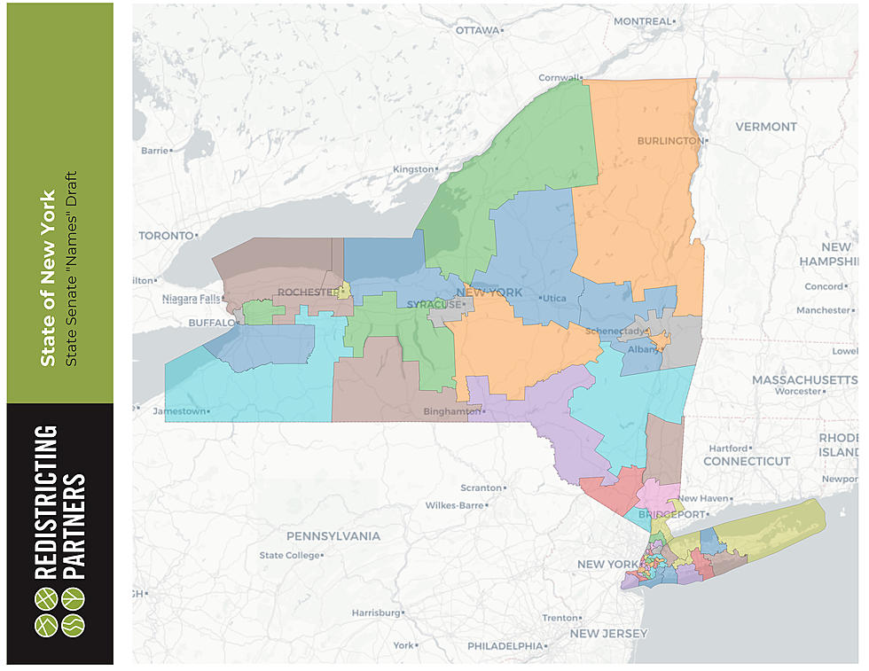 New York’s New Assembly District Map Allowed to Stay