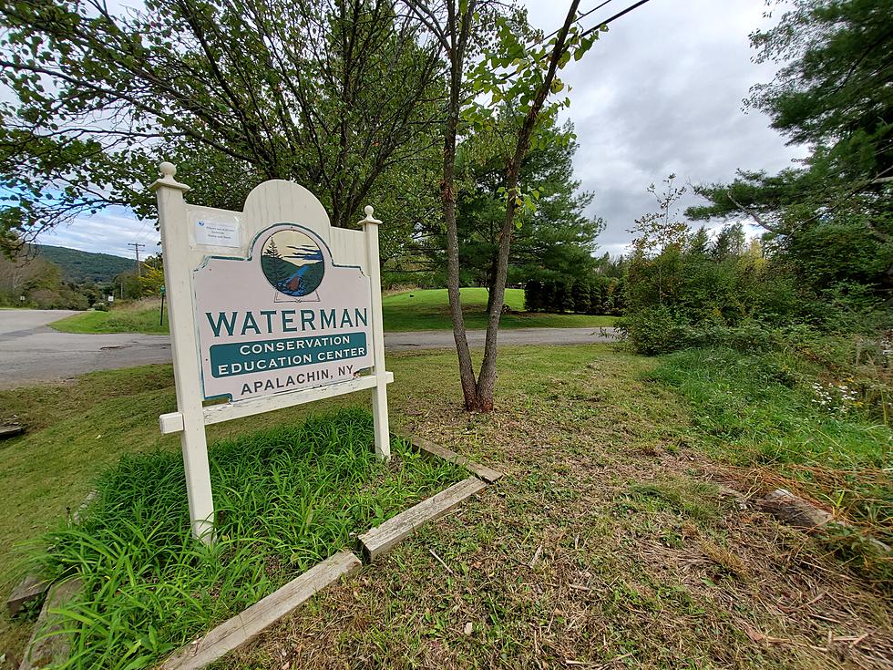 Waterman Center Developing a Sustainable Water Conservation Park