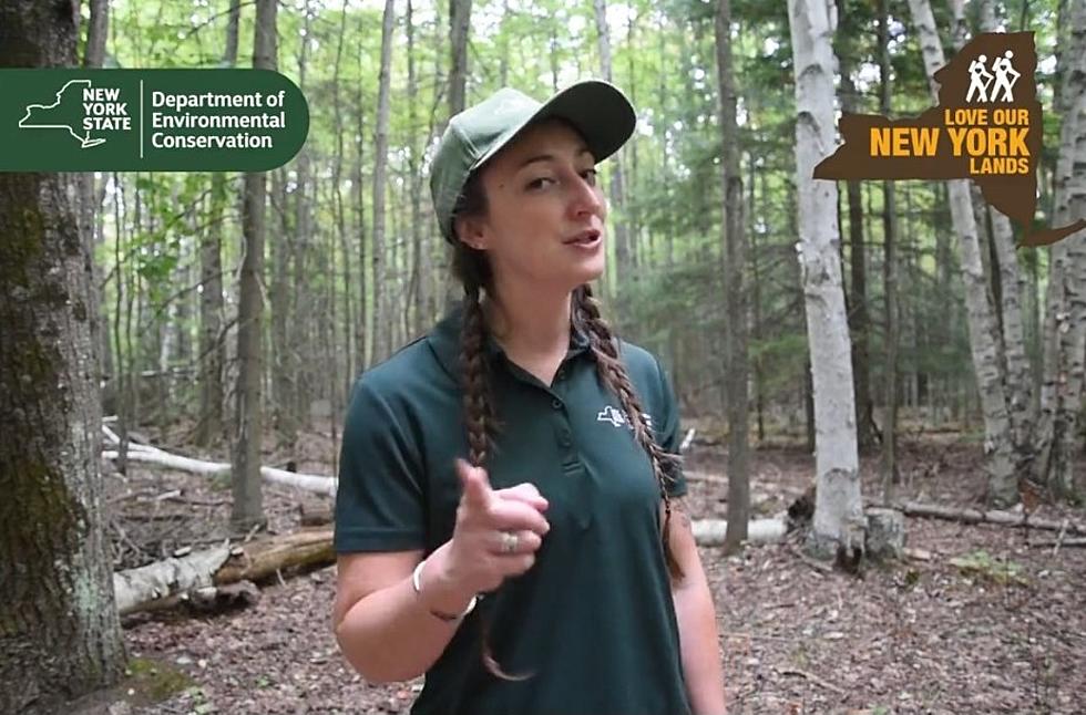 WATCH: New York Government Video on How to &#8220;Poop in the Woods&#8221;