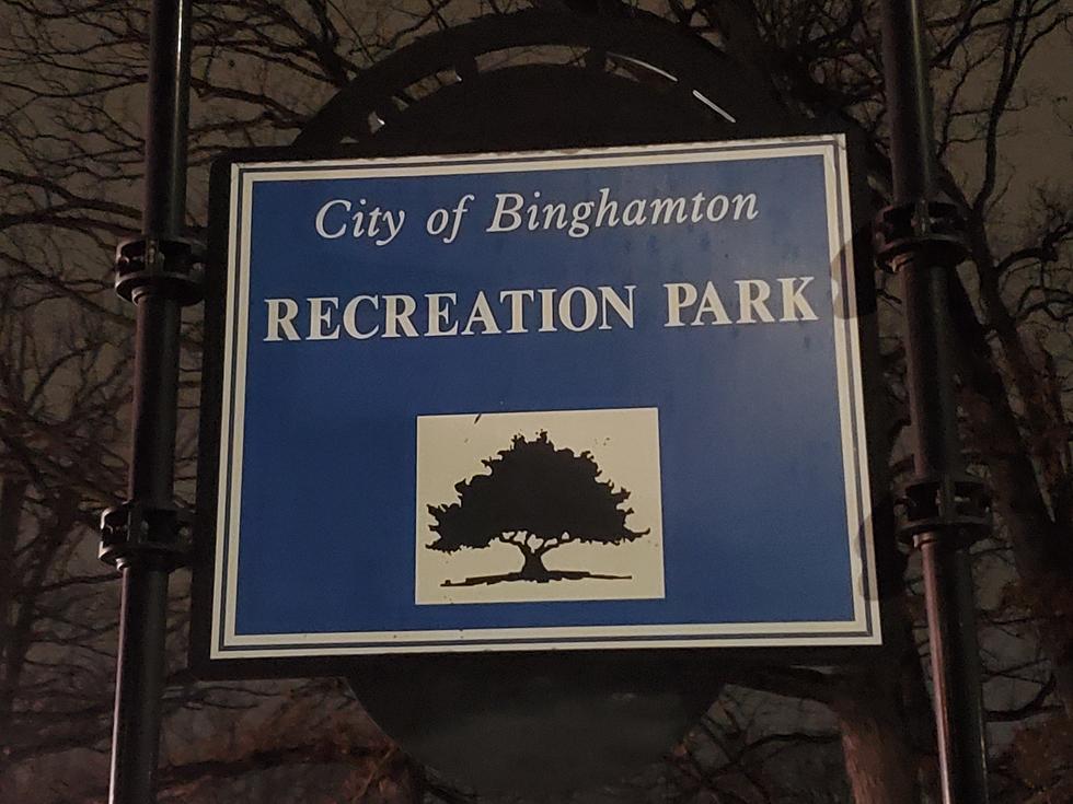Recent Binghamton Univ. Grad Recuperating After Park Attack