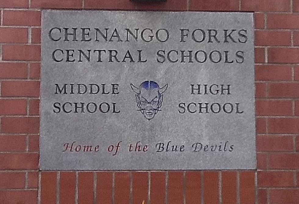 Chenango Forks High School Student Charged in Bathroom Attack