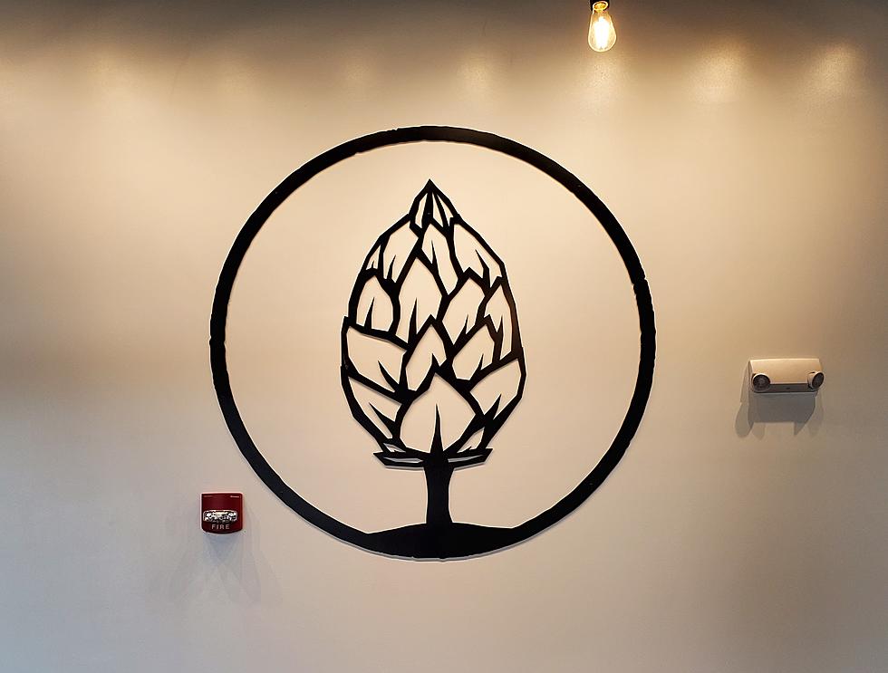 Beer Tree Brew Plans to Open Downtown Binghamton Taproom Soon