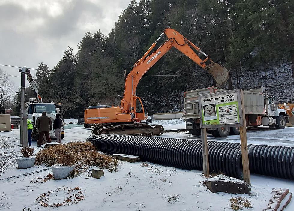 Sinkhole Closes Binghamton&#8217;s Ross Park Zoo