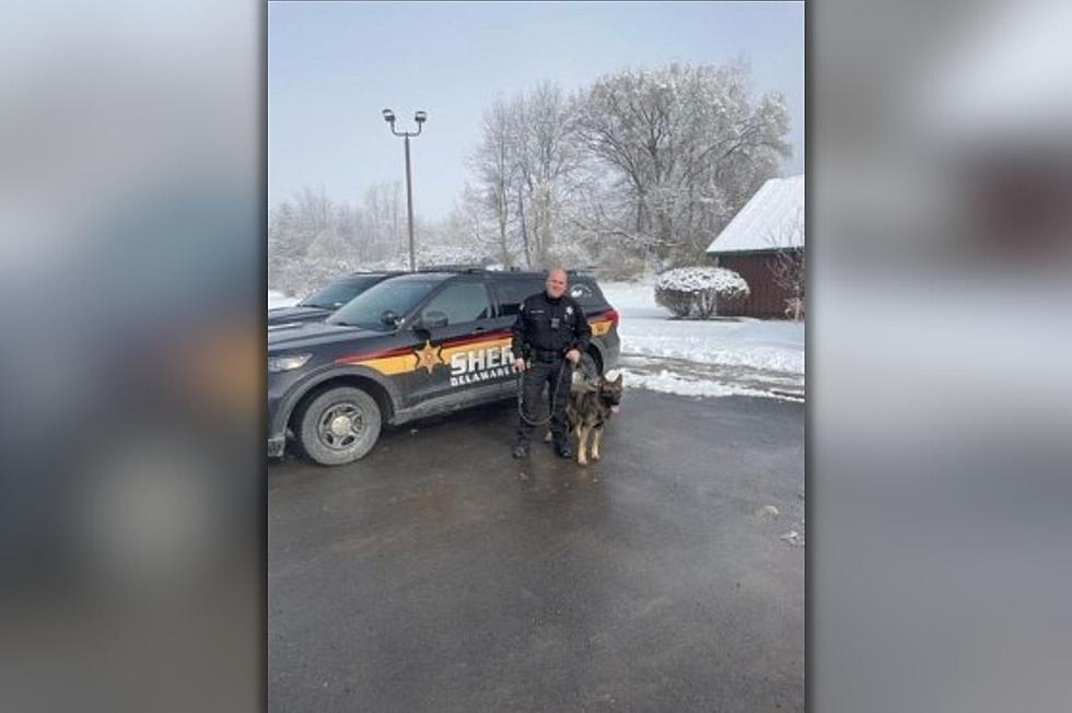 Meet Delaware County's New Furry Deputy