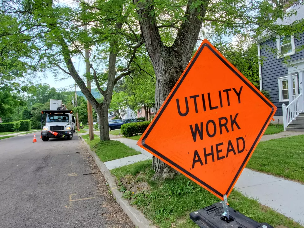 Binghamton West Side Residents Steamed by Tree &#8220;Hacking&#8221; Crews