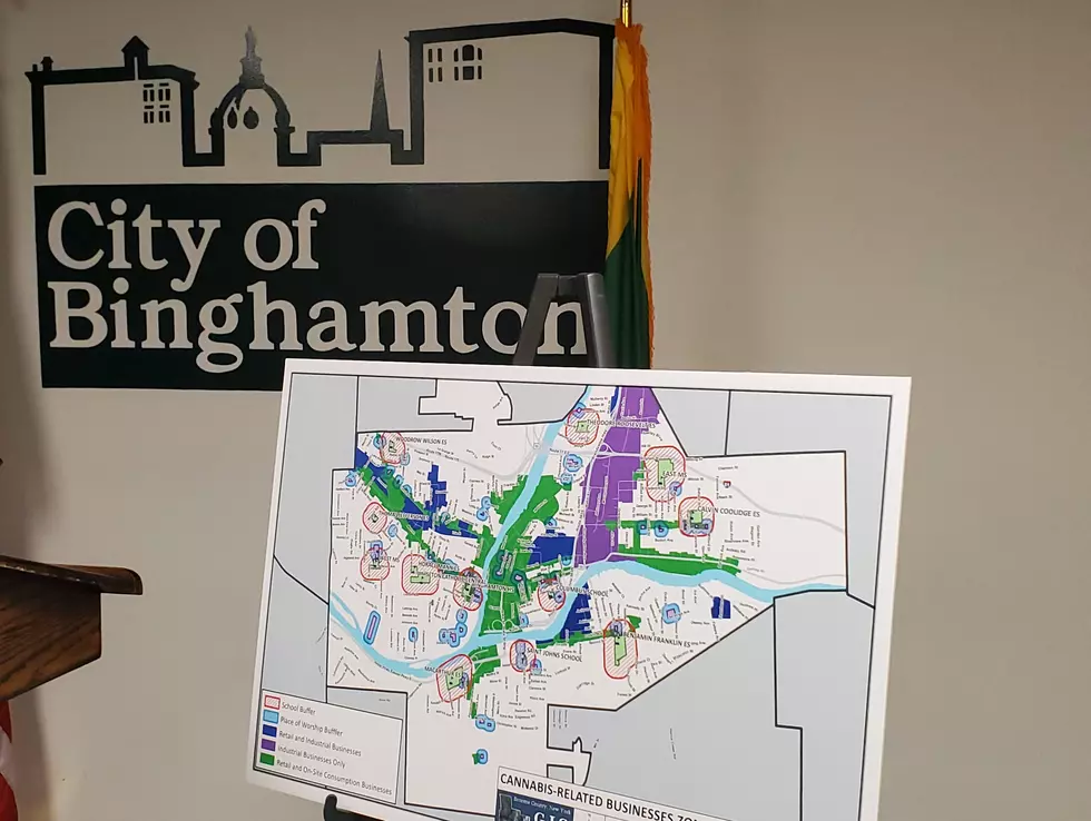 Binghamton Releases Map of Where Cannabis Businesses Could Set Up