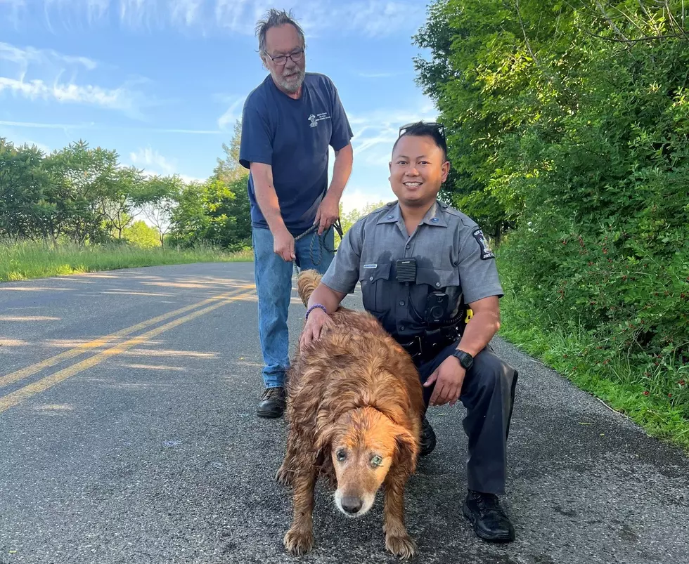 State Troopers Rescue Golden Retriever From Culvert in Conklin