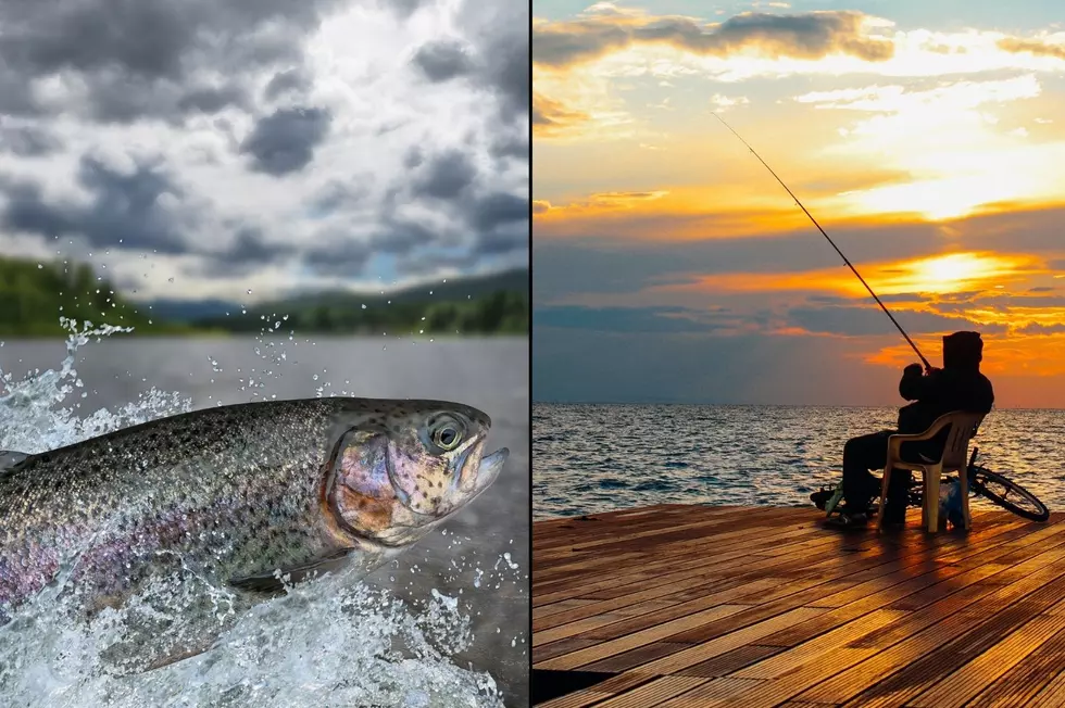 Fishing in New York is Free This Weekend