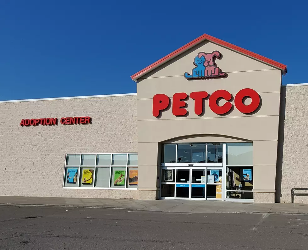 Animal Rescue Group &#8220;Suddenly&#8221; Moving from Johnson City Petco
