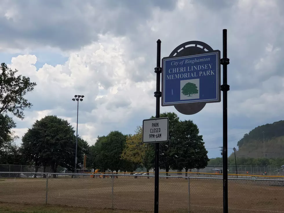 Guns stolen in a town of Dickinson home invasion robbery are said to have been recovered from Cheri Lindsey Park in Binghamton. Photo: Bob Joseph/WNBF News