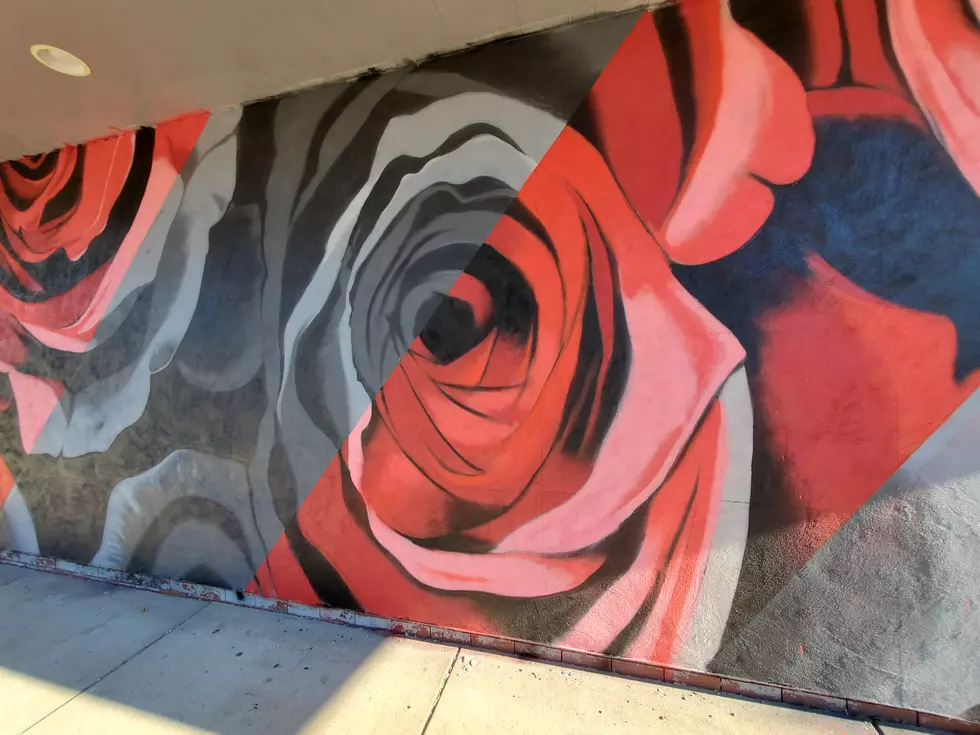 Mural Artist Adds Some Color to Endicott&#8217;s Washington Avenue