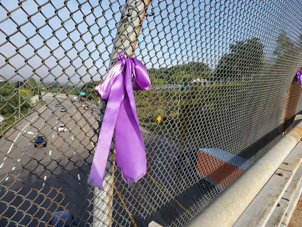 A purple ribbon in Aliza Spencer's memory displayed on a fence above Interstate 81 in Binghamton on September 21, 2022. (Photo: Bob Joseph/WNBF News)