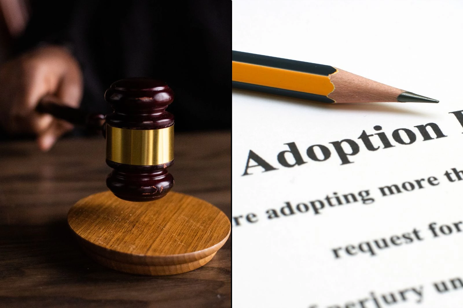 New York Court Rules Adoption Agency Can Deny Same-Sex Couples
