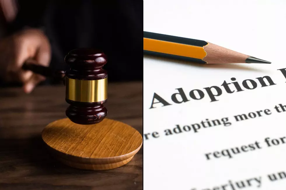 New York Court Rules Adoption Agency Can Deny Same-Sex Couples