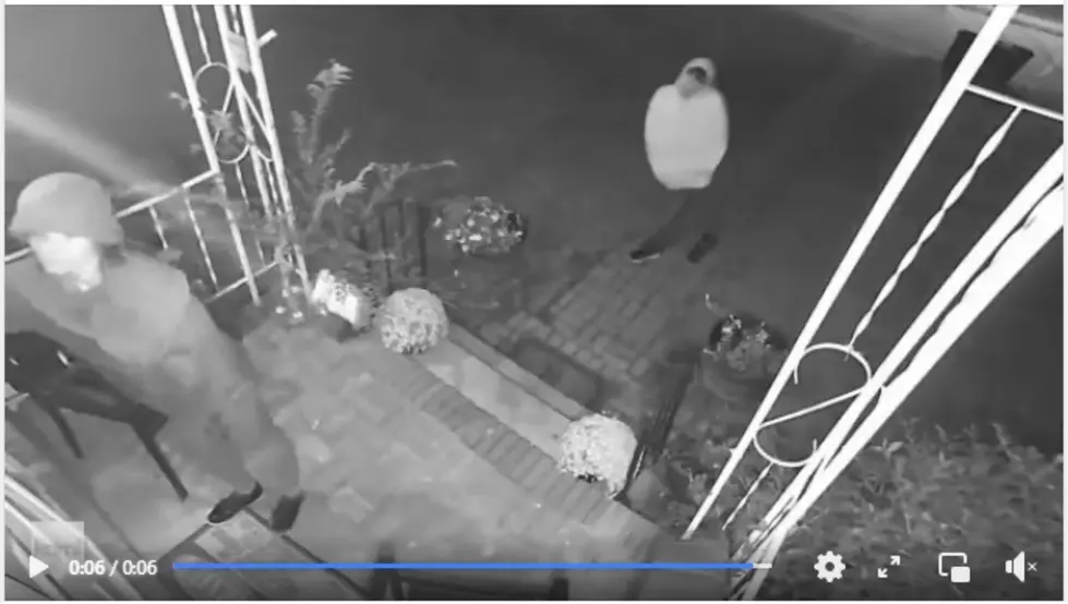Ring screen capture via Endicott Police facebook post