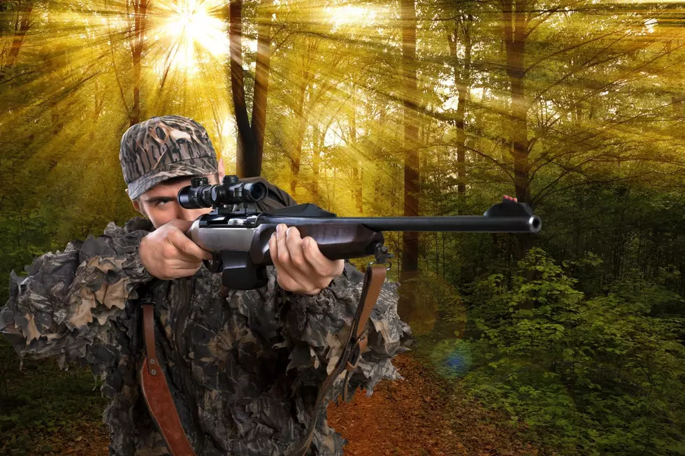 What do New York Gun Law Changes Mean for Hunting Season?