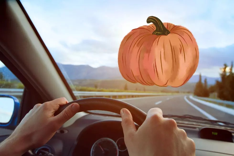 New York Couple Shocked When Pumpkin Smashes Their Car Window