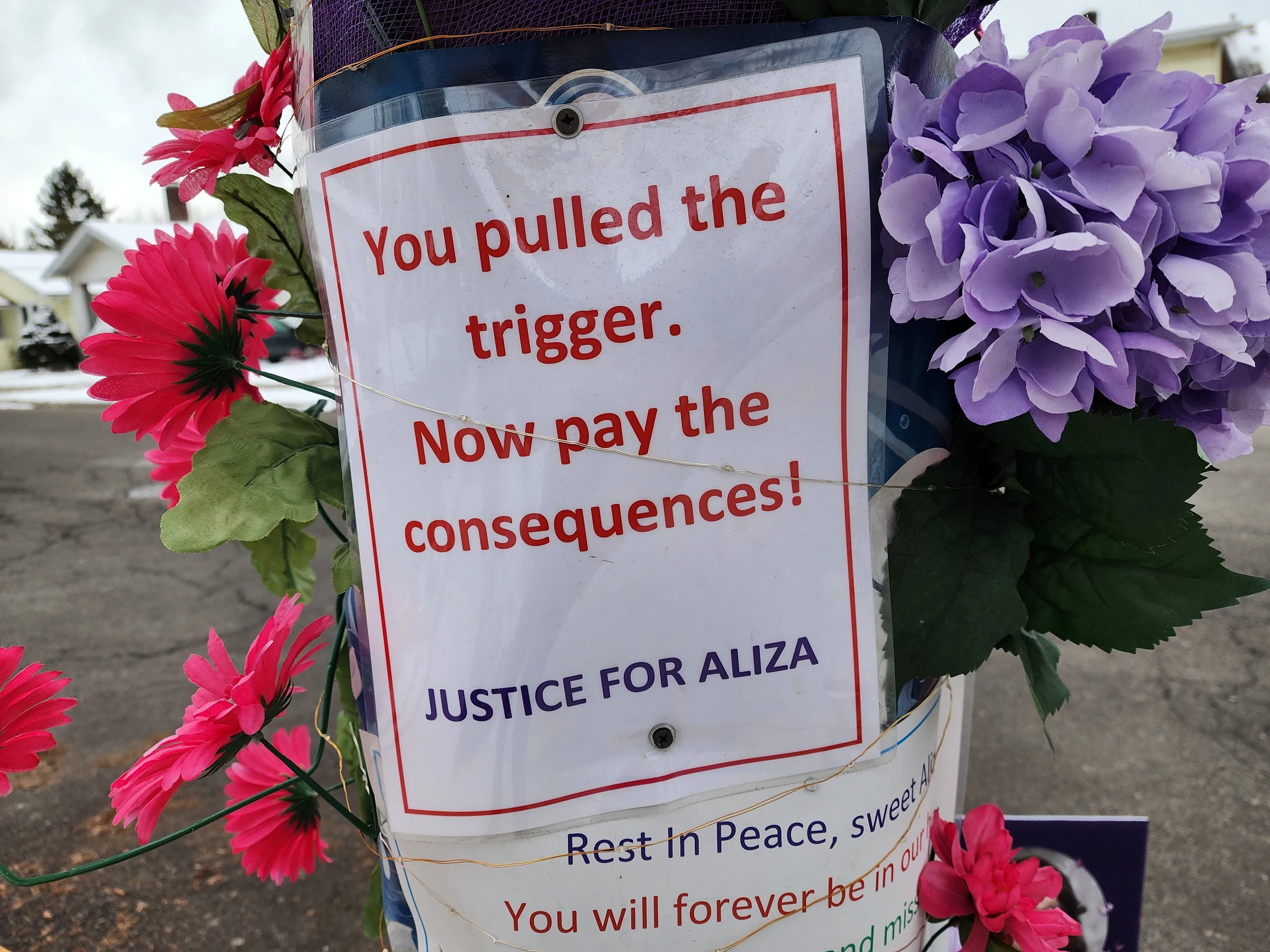 Neighbors Make Holiday Season Plea for Justice for Aliza Spencer