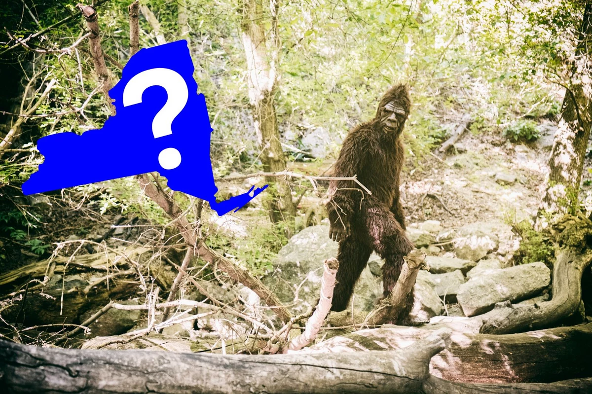 BN] Chronicles: Looking back at Western New York Bigfoot sightings