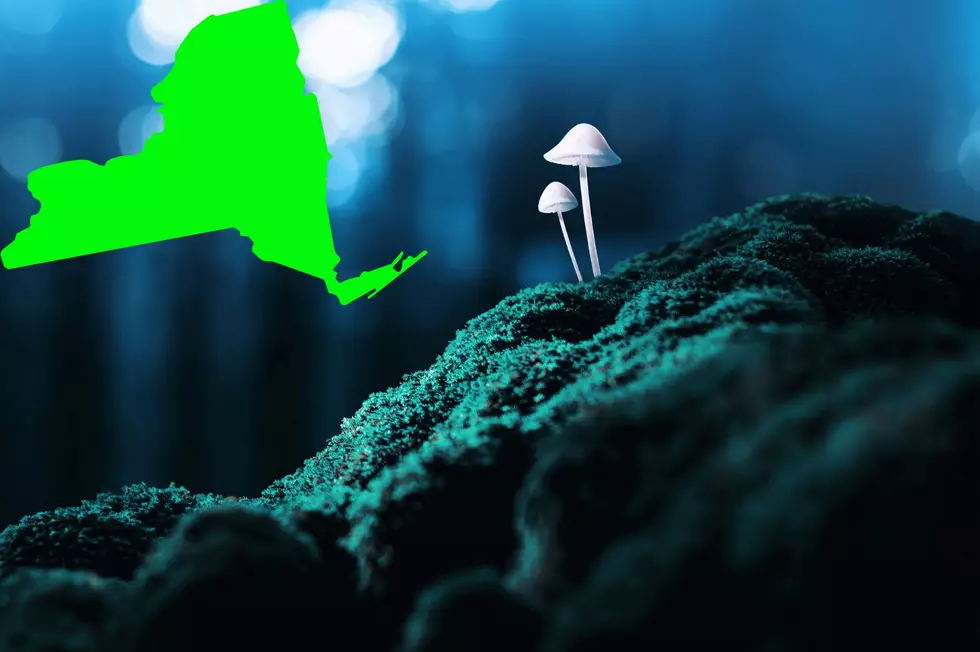 Are Legal Psychedelics Coming to New York State?
