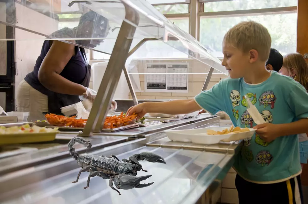 Scorpion Nearly Derails Norwich School Meal