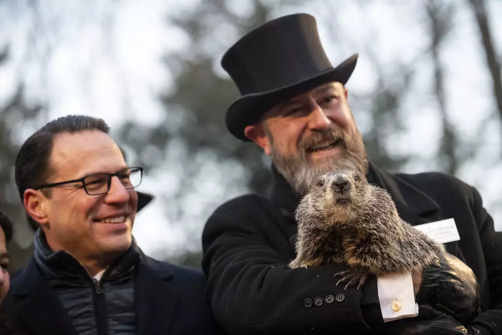 Did You Know New York Has its Own Weather Predicting Groundhog?