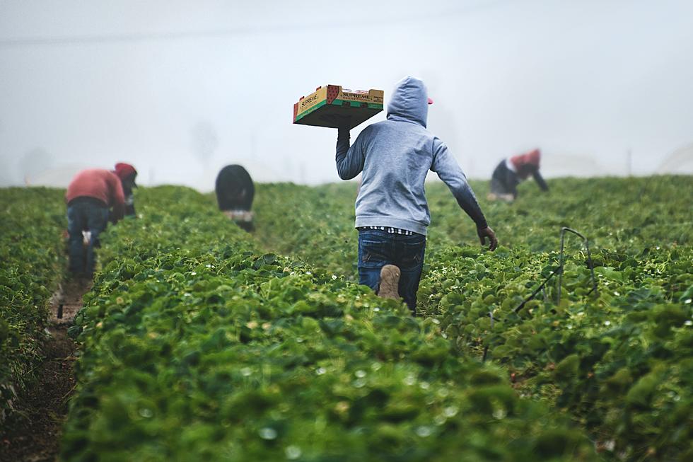 New York Farmers' Overtime Pay Threshold Change Finalized