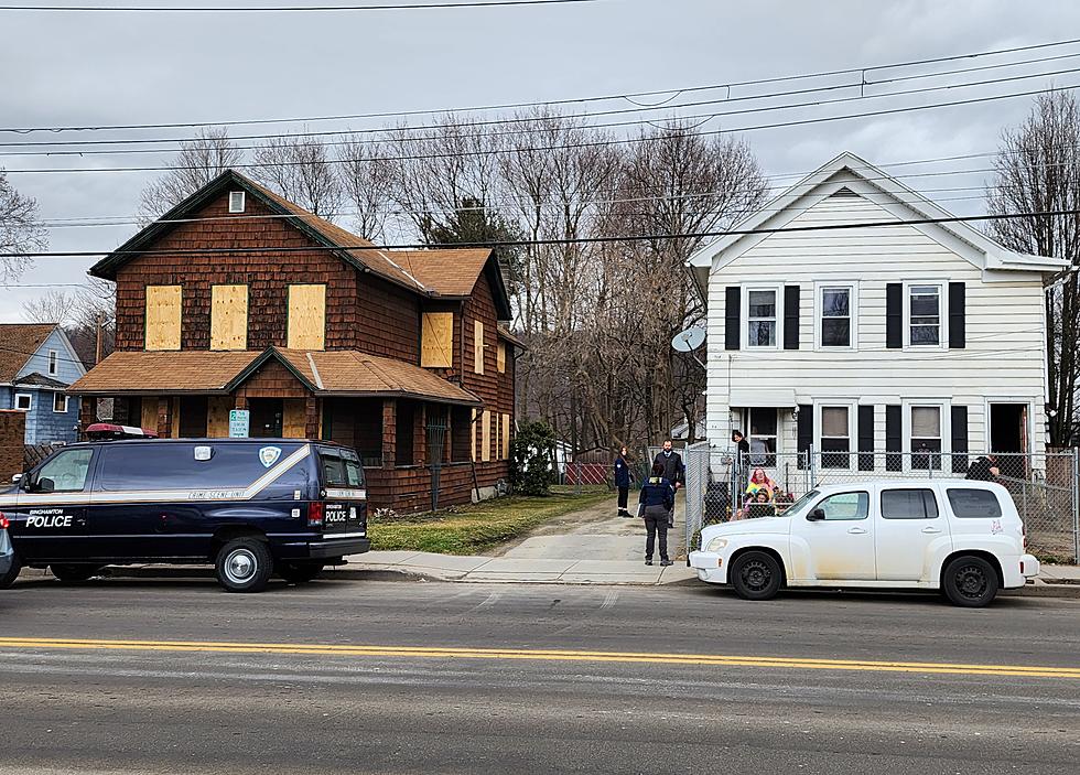 Binghamton Police Seize Dogs, “Animal Abuser” Faces 42 Counts