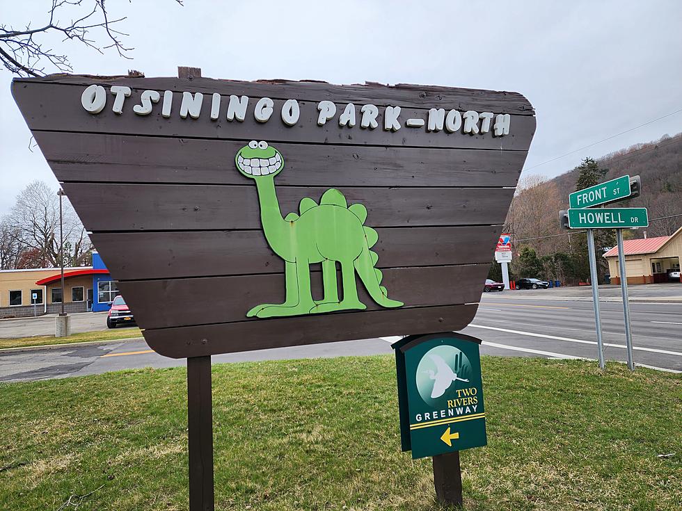 New Dog Park Complex at Otsiningo to Open Soon