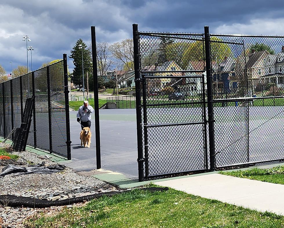 Binghamton Rec Park Courts Being Used for Everything But Tennis