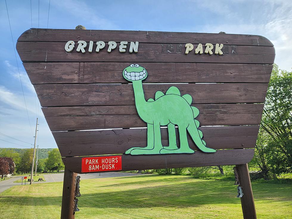 Work Starts on Major Makeover at Grippen Park in Endicott